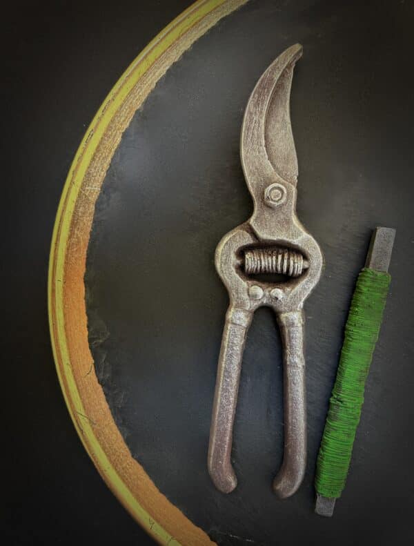 Garden shears with wire