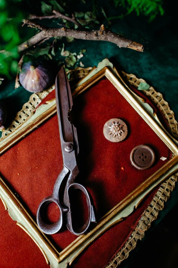 Scissors with buttons large